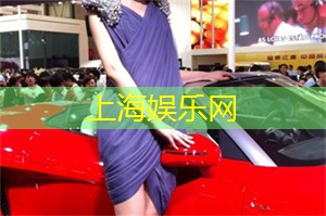 爱上海：平凡的梦想作文