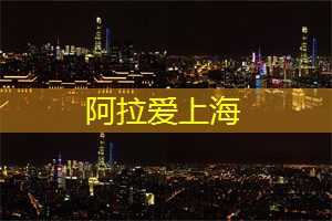 夜游东方明珠：旋转餐厅美食体验